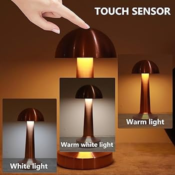 Cordless Lamp LED Desk Lamp Touch Sensor Rechargeable USB Dimmable Table Lamp