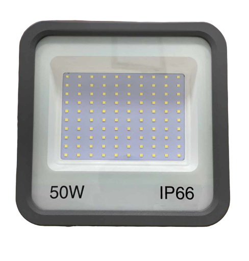 50W Double Driver Flood Light 1 Year Warranty